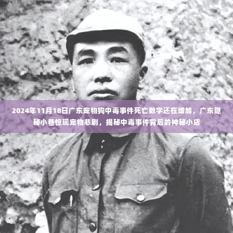 广东宠物狗中毒事件揭秘，神秘小店引发悲剧，死亡数字持续上升