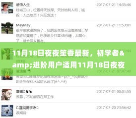 11月18日夜夜笙香新体验,从初学者到进阶用户的详细步骤指南