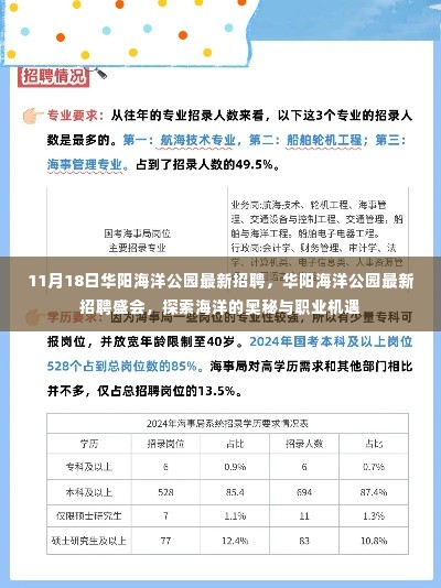 华阳海洋公园最新招聘盛会,探索海洋奥秘,共掘职业机遇