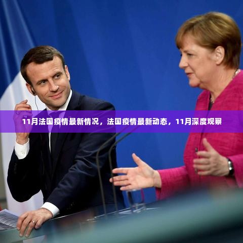 法国疫情最新动态与深度观察,11月深度报告
