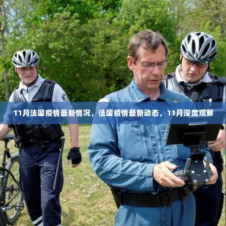 法国疫情最新动态与深度观察,11月深度报告