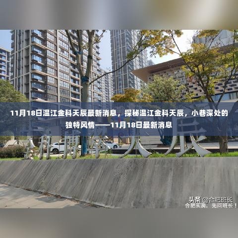 探秘温江金科天辰,小巷深处的独特风情——最新消息揭秘(11月18日)