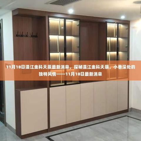 探秘温江金科天辰,小巷深处的独特风情——最新消息揭秘(11月18日)