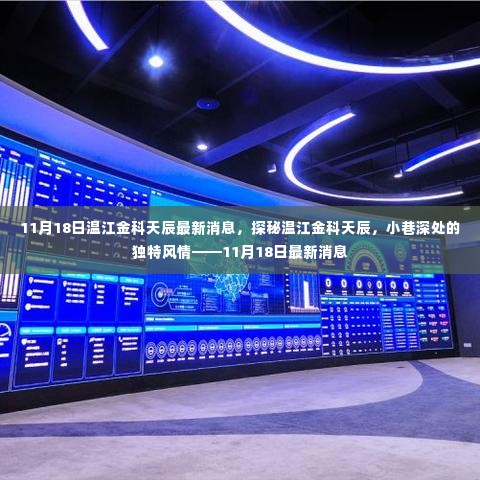 探秘温江金科天辰,小巷深处的独特风情——最新消息揭秘(11月18日)