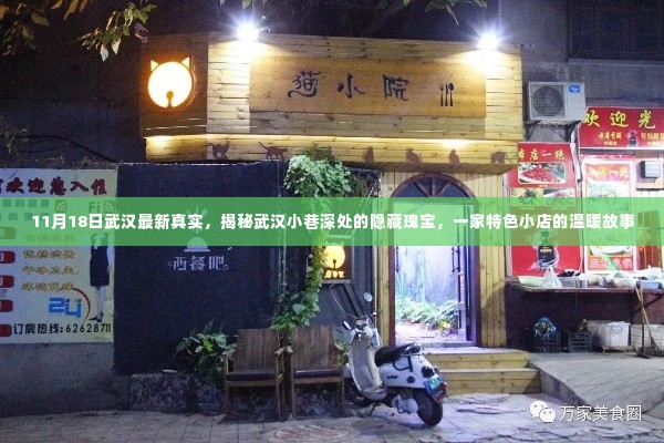 揭秘武汉小巷深处的隐藏瑰宝,特色小店的温暖故事(最新更新11月18日)