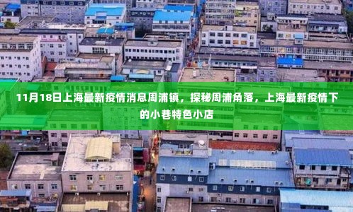 上海周浦镇最新疫情消息探秘,小巷特色小店风采