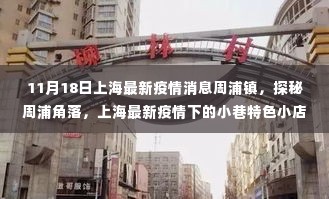 上海周浦镇最新疫情消息探秘,小巷特色小店风采