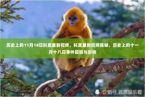 建筑材料 第478页