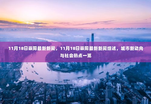 11月18日崇阳新闻综述，城市新动向与社会热点全解析