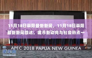 11月18日崇阳新闻综述,城市新动向与社会热点全解析