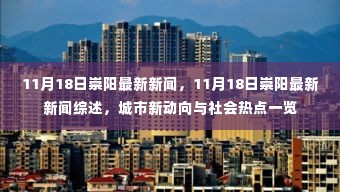 11月18日崇阳新闻综述,城市新动向与社会热点全解析