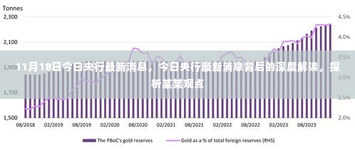 央行最新动态解读,深度探析与某某观点探讨