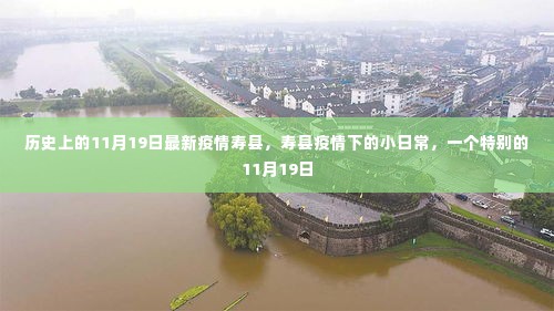 寿县疫情下的特殊日常,历史上的11月19日最新疫情观察