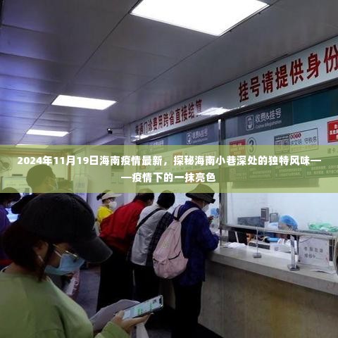 海南独特风味探秘,疫情下的亮色——最新疫情更新(2024年11月19日)