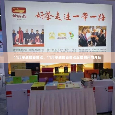 11月孝感最新景点深度测评与介绍