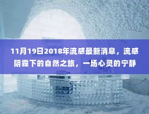流感阴霾下的心灵探索之旅,最新消息与宁静自然之旅(2018年11月)
