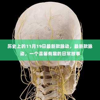 温馨有趣的日常故事，最新款脉动在11月19日的脉动历史