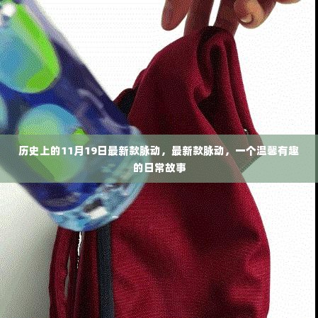 温馨有趣的日常故事,最新款脉动在11月19日的脉动历史