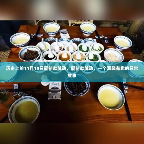 温馨有趣的日常故事,最新款脉动在11月19日的脉动历史