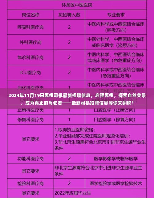 惠州司机最新招聘信息发布，启程探索自然美景，成为真正的驾驶者