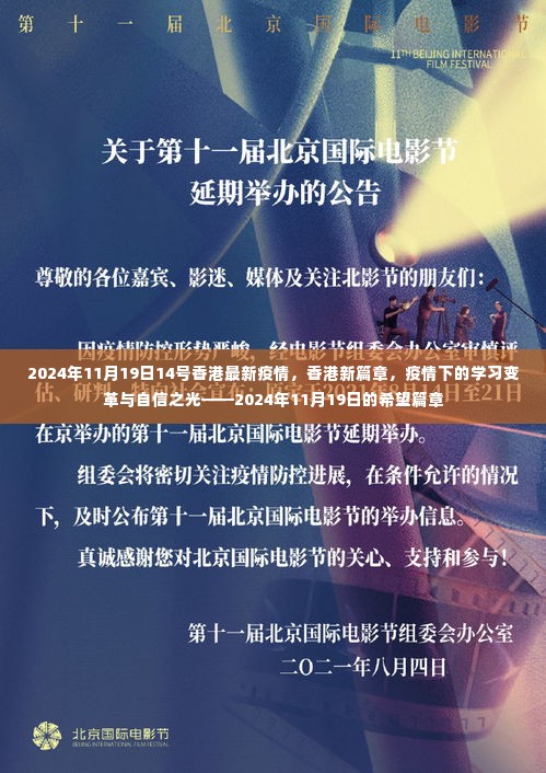 香港疫情最新动态,变革中的学习之光与希望篇章(2024年11月19日)