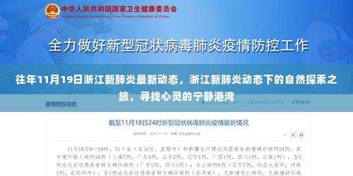 浙江新肺炎动态下的自然探索之旅,心灵港湾的寻找——往年11月19日最新动态
