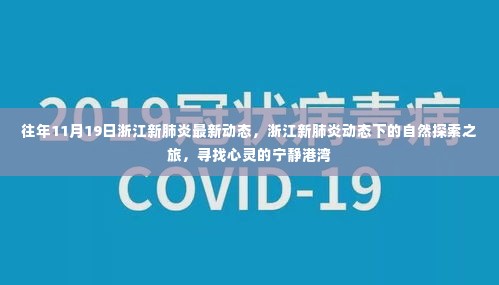 浙江新肺炎动态下的自然探索之旅,心灵港湾的寻找——往年11月19日最新动态