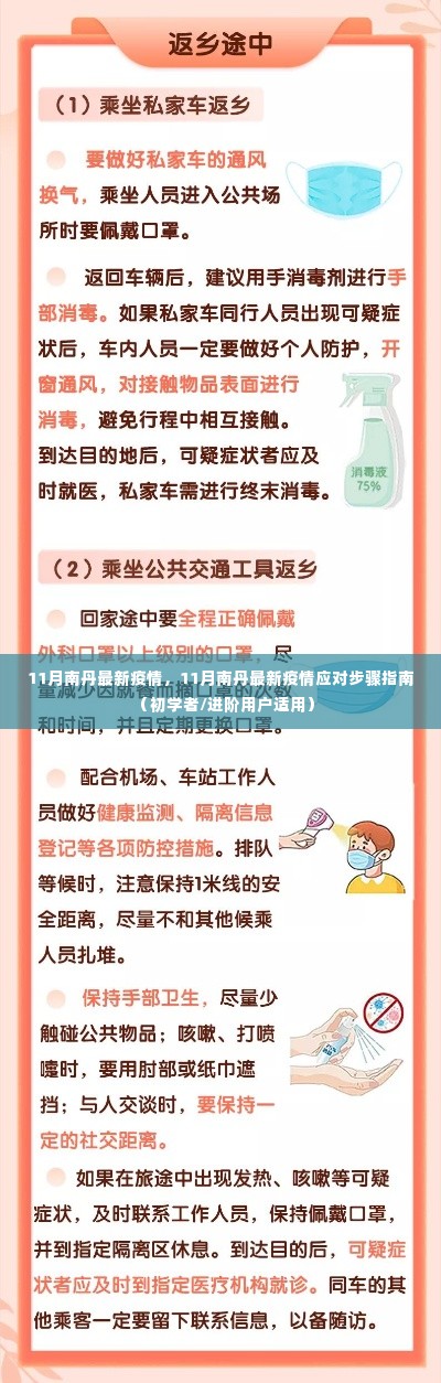11月南丹疫情最新动态与应对指南,初学者到进阶用户的必备参考