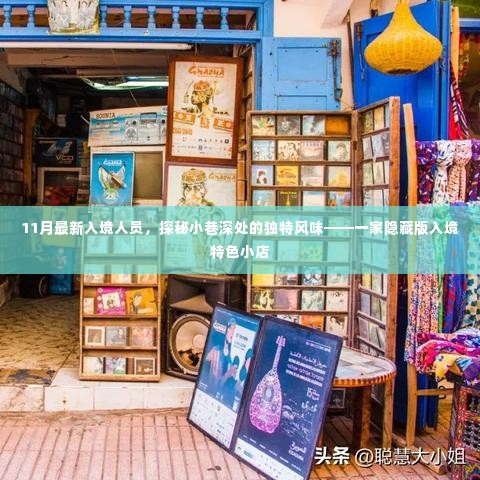 探秘隐藏小巷的独特风味,揭秘一家入境特色小店的魅力