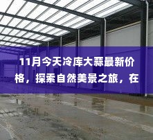 11月冷库大蒜最新价格,探索内心平静之旅与大蒜价格的奇妙探索
