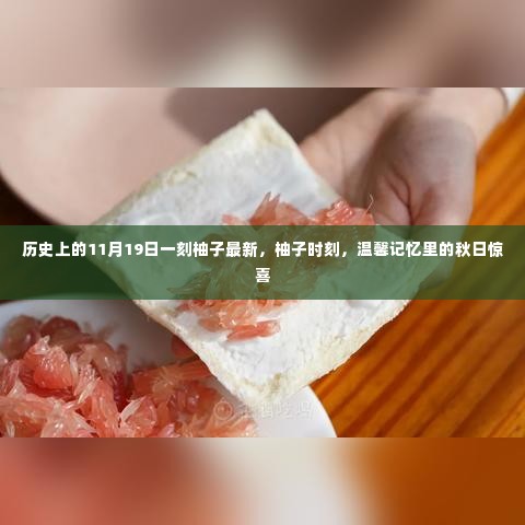 柚子时刻,秋日惊喜与温馨记忆的交汇点