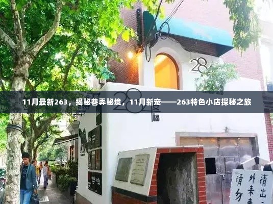 揭秘巷弄秘境,11月新宠特色小店探秘之旅——263之旅