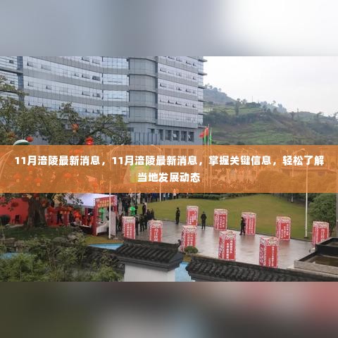 掌握涪陵最新发展动态，11月关键信息一览