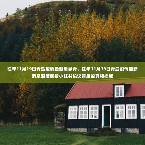 往年11月19日青岛疫情最新消息深度解析,小红书热议背后的真相揭秘