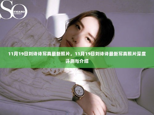 刘诗诗最新写真照片评测与介绍,深度探索11月19日的诗意之美