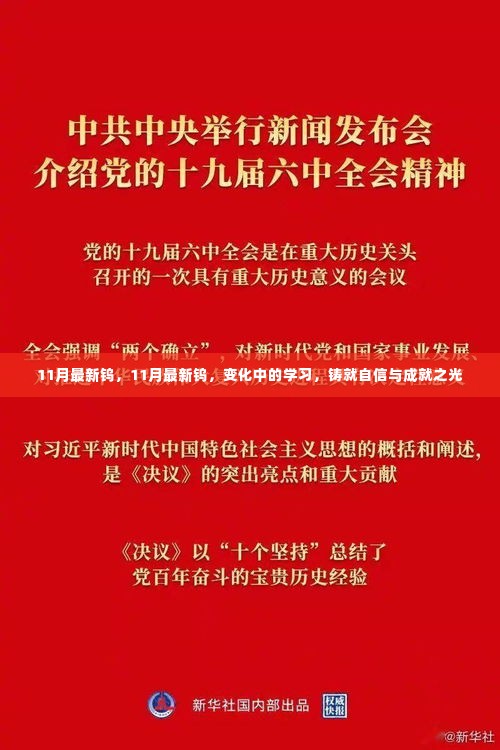 11月最新钨市场动态，变化中的学习，铸就自信与成就之光