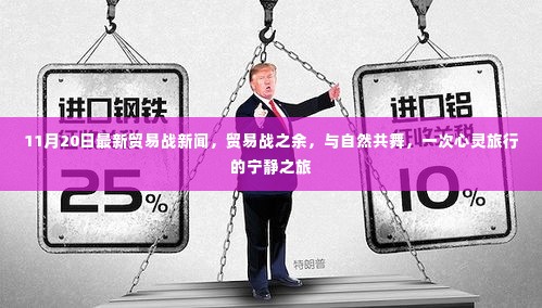 贸易战之余的心灵宁静之旅,与自然共舞的最新感悟