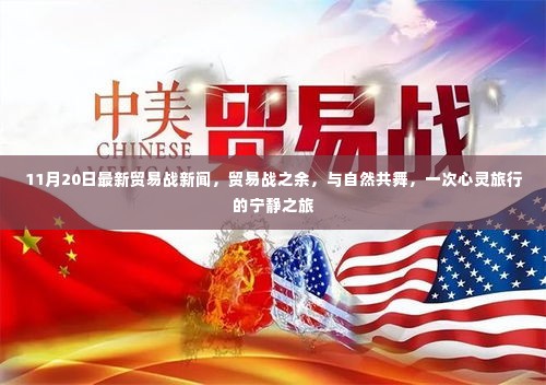 贸易战之余的心灵宁静之旅,与自然共舞的最新感悟