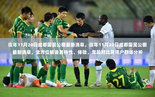 往年11月20日成都国奥公棚全方位解读,特性、体验、竞品对比及用户群体深度分析