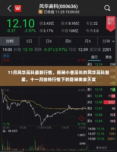 揭秘风华高科11月独特行情,小巷新星与隐秘美食天堂介绍