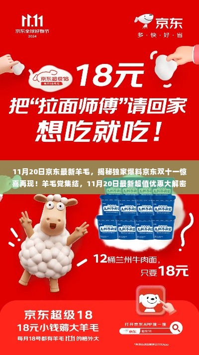 揭秘京东双十一惊喜再现,独家爆料超值优惠,羊毛党集结大解密!
