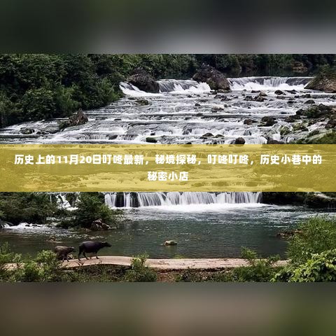 秘境探秘，历史小巷中的秘密小店叮咚最新揭秘日（11月20日）