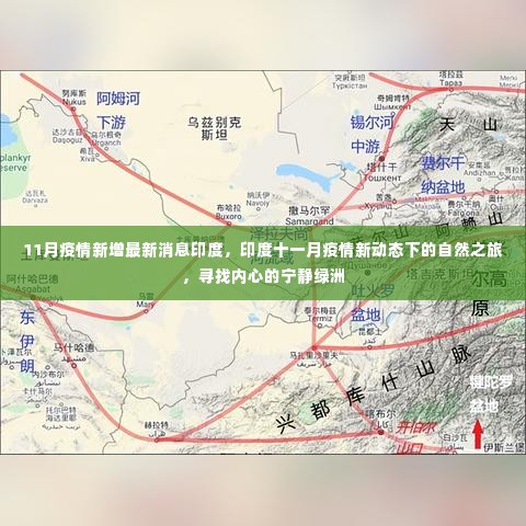 印度11月疫情最新动态下的自然之旅,探寻内心宁静绿洲