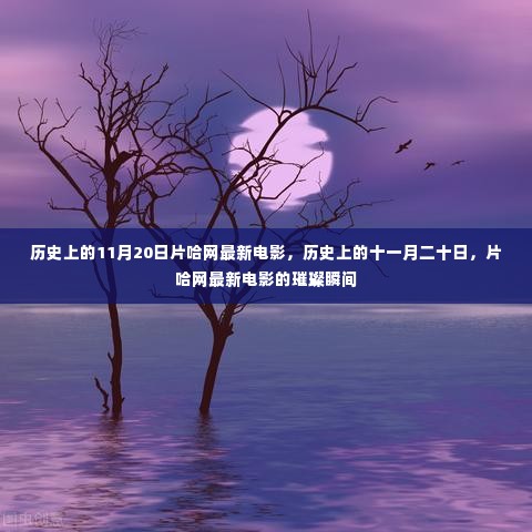 片哈网独家呈现,历史上的11月20日最新电影璀璨瞬间回顾