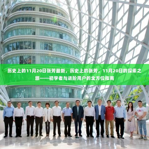 11月20日历史上的张芳探索之旅,全方位指南助力初学者与进阶用户了解张芳历程的奥秘