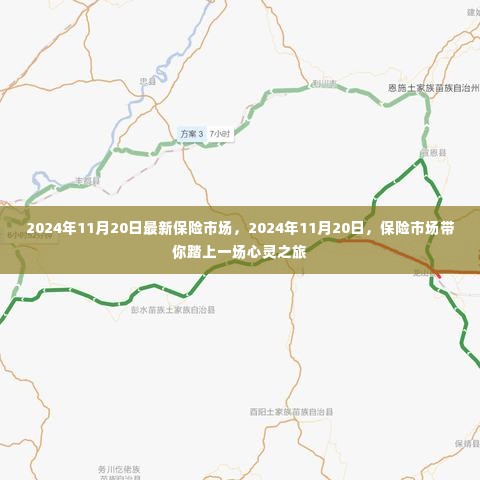 心灵之旅,探索最新保险市场深度体验