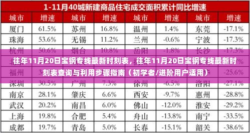 往年11月20日宝钢专线时刻表大全,查询指南与利用步骤,初学者与进阶用户必备参考!