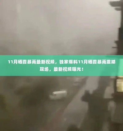 独家揭秘,11月栖霞暴雨震撼现场最新视频曝光!
