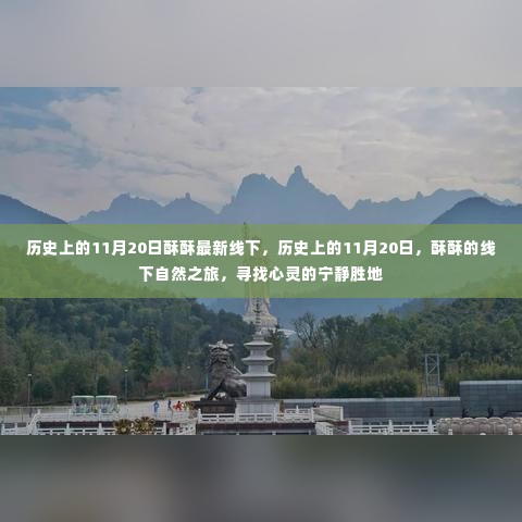 历史上的11月20日,酥酥的线下自然之旅,寻找心灵宁静胜地