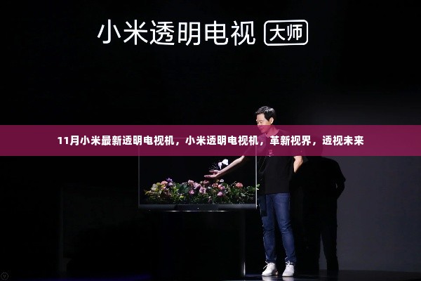 小米全新透明电视机,视界革新,透视未来科技新纪元